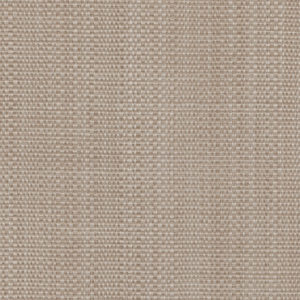 Elevated Taupe 5730-05