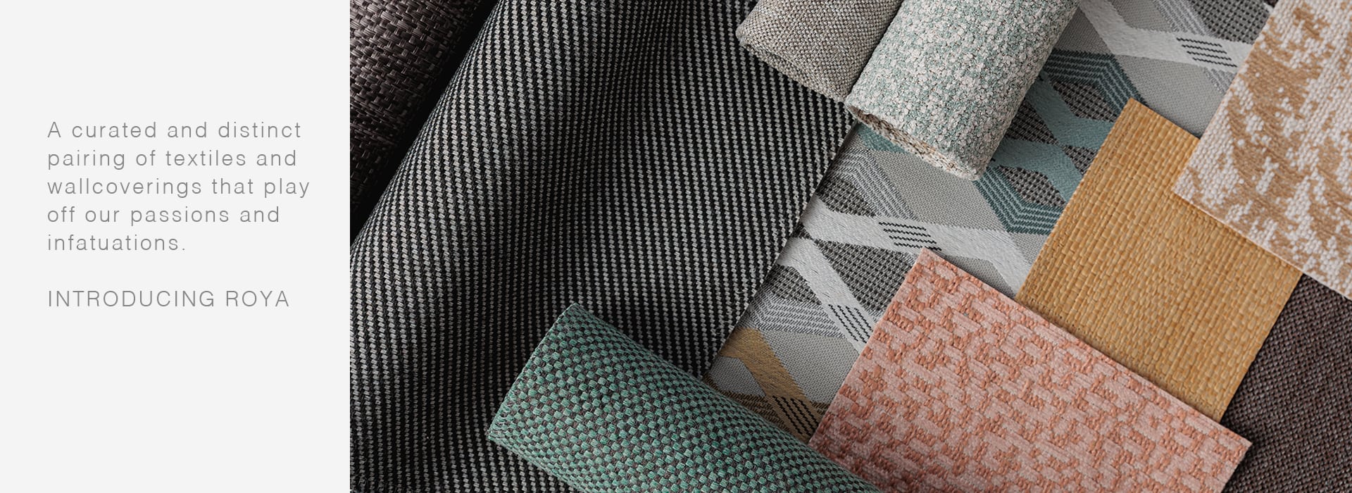 Introducing the Roya Collection, From Brentano