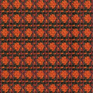 Orange Zoanthid 1345-05