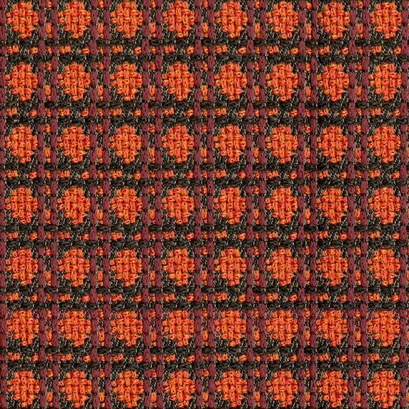 Orange Zoanthid
